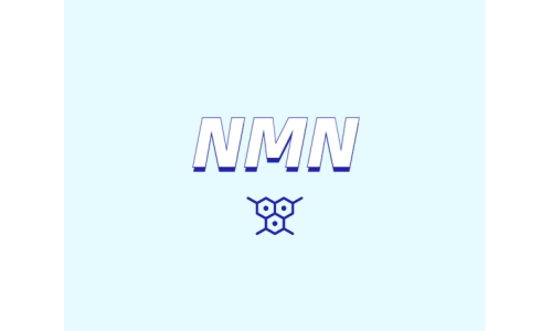 4月NMN有哪些最新研究？