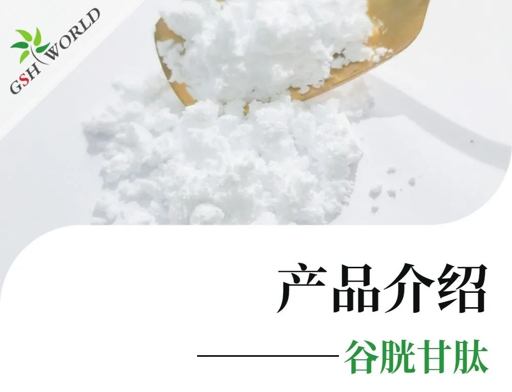 产品介绍 - 谷胱甘肽——远比你想象的更强大
