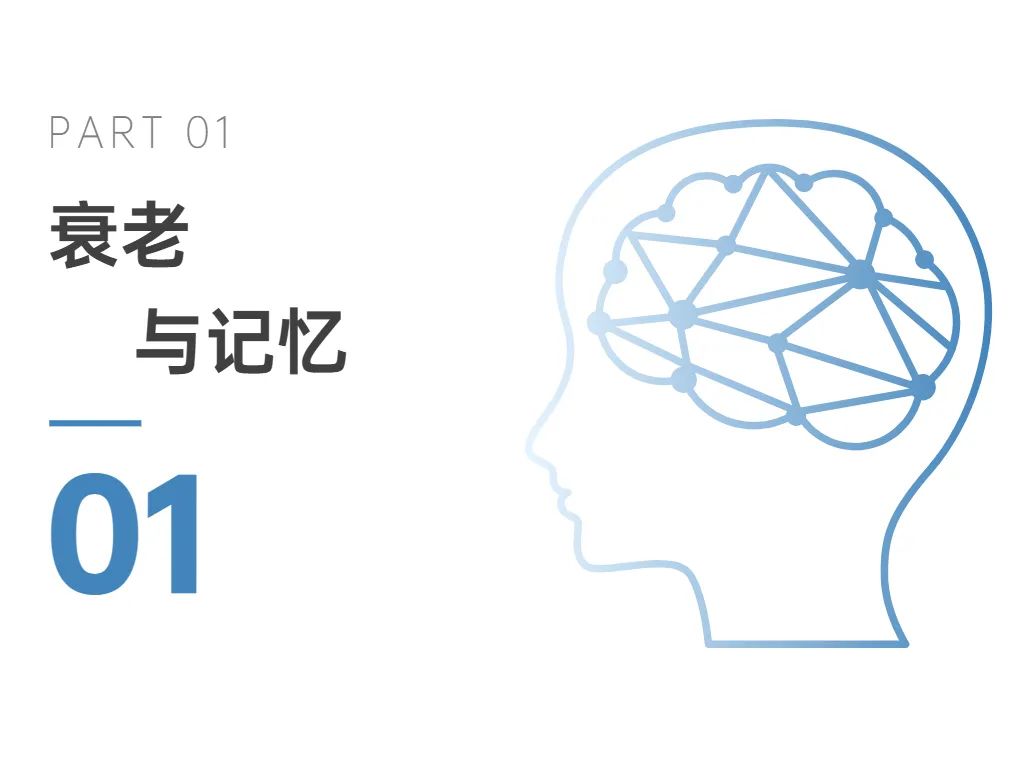 01衰老与记忆