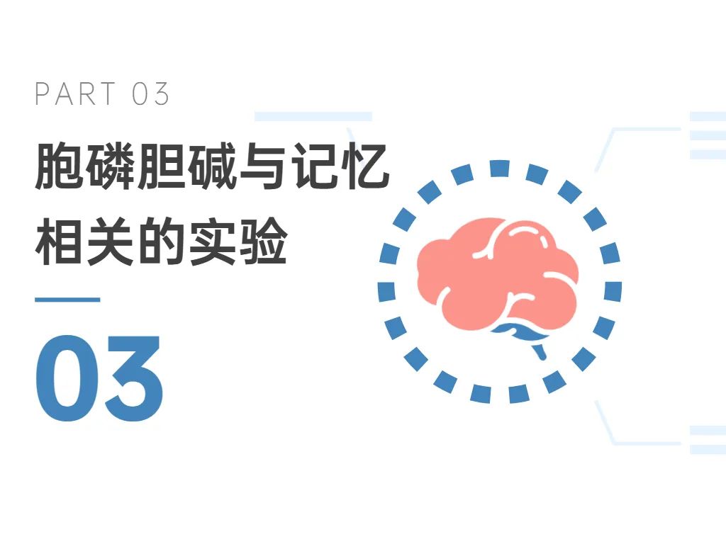 03胞磷胆碱与记忆相关的实验