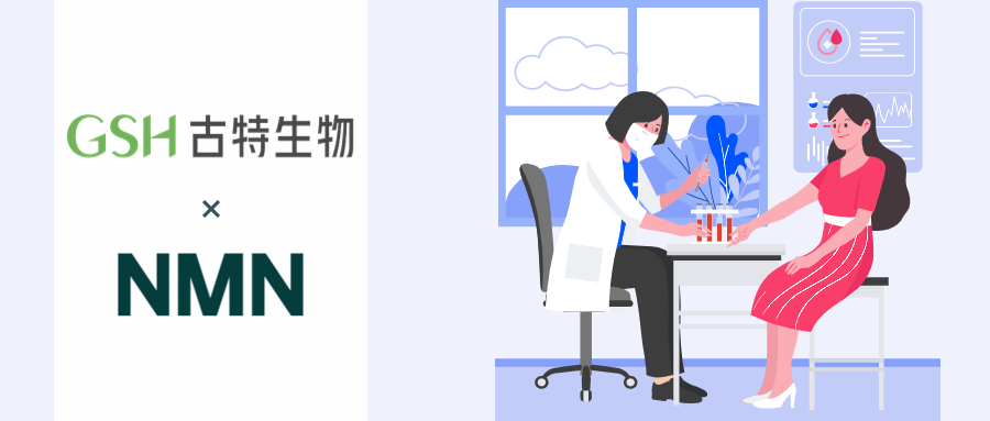 NMN合成NAD+的途径
