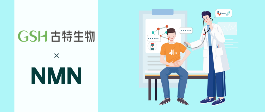 NMN的安全性实验