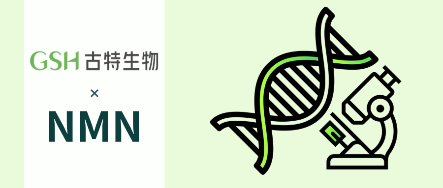 NMN减轻电离辐射(IR)损伤