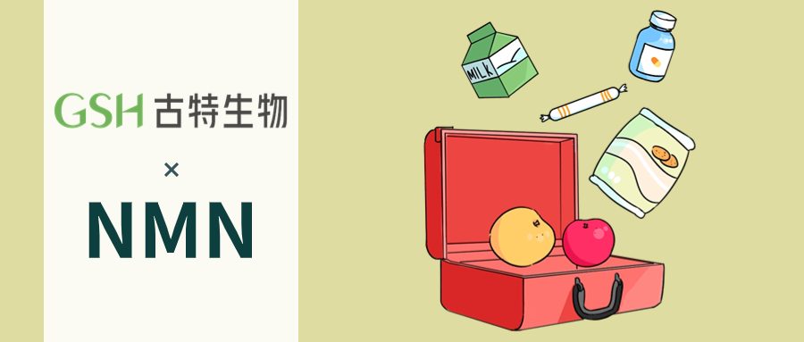 NMN被提议作为一种预防与年龄相关的生理衰退的营养保健品