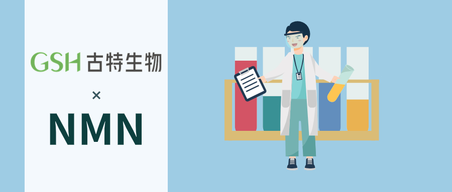 NMN的功能性研究