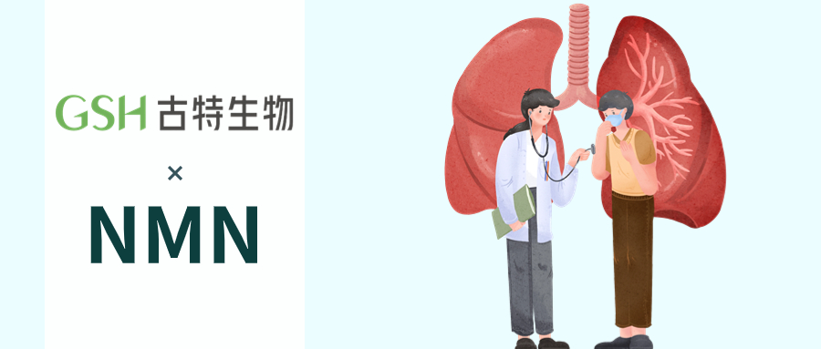 NMN对肺部健康的四大作用