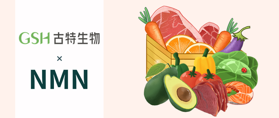 NMN该怎样补充效果比较好？