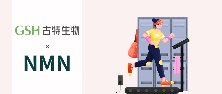 NMN的潜在好处