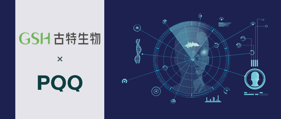 什么是PQQ？