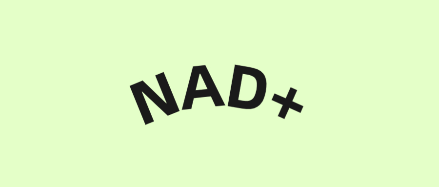NAD+与NR
