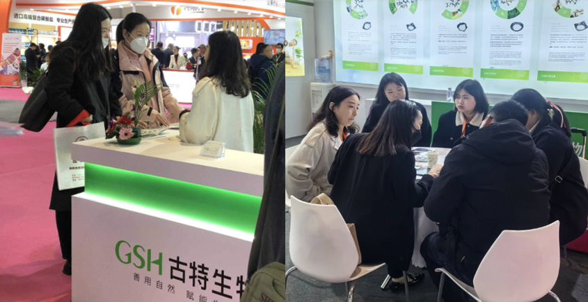 展会精彩瞬间