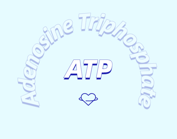 ATP 补充剂有什么作用？
