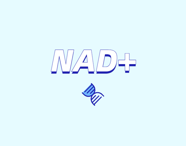 NAD与NMN的全新概念？