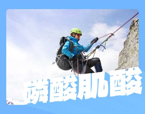 磷酸肌酸粉末有什么用途？