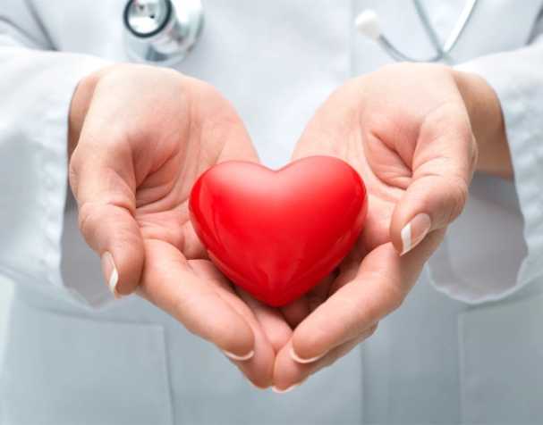 古特生物 古特生物