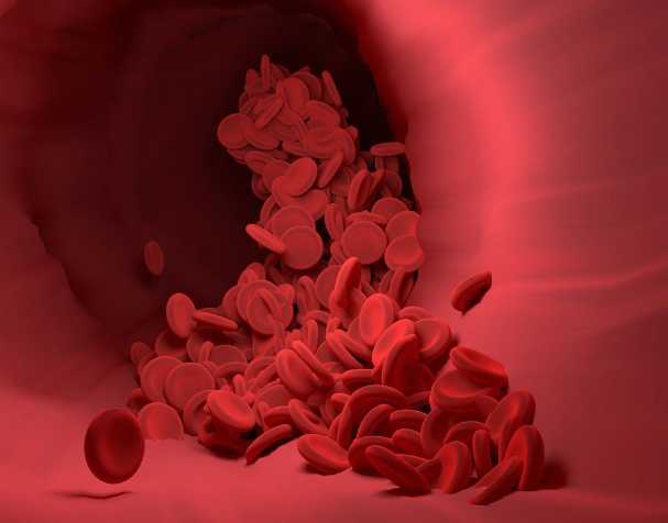 古特生物 古特生物