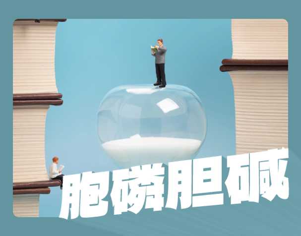 胞磷胆碱比胆碱更好吗？