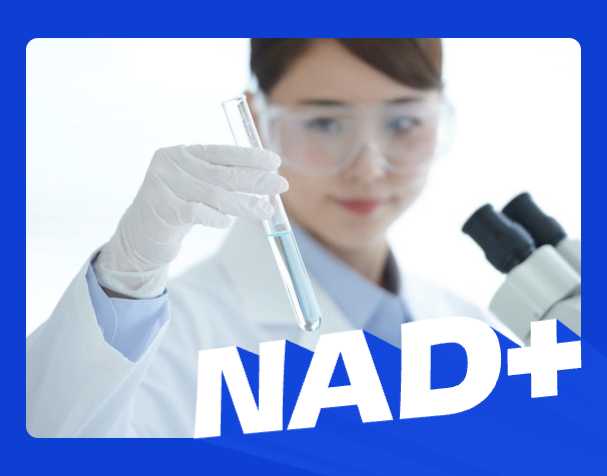 补NAD+，选对才有效