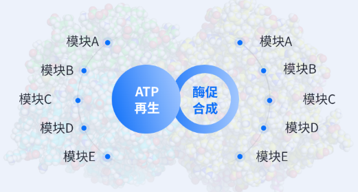 核心技术原理:突破酶促反应能量瓶颈 核心技术原理:突破酶促反应能量瓶颈
