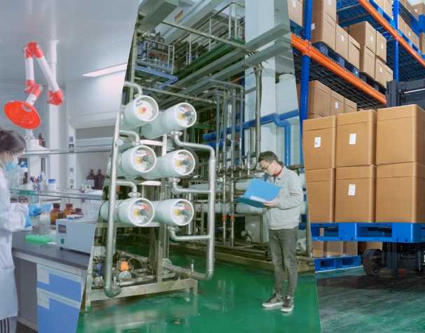 酶法催化赋能：古特生物技术创新与产业化实践