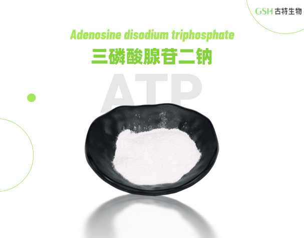 ATP补充剂真能提升运动表现吗？