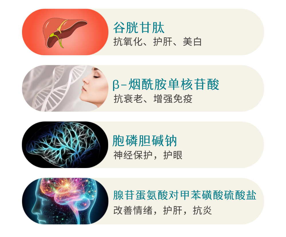 古特生物 古特生物