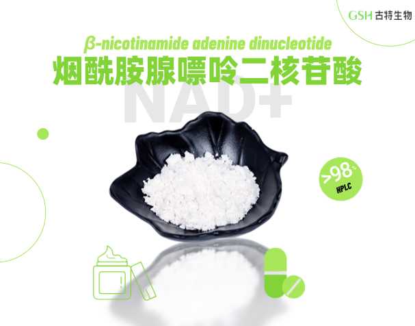 NAD⁺补充剂最新抗衰老相关研究总结