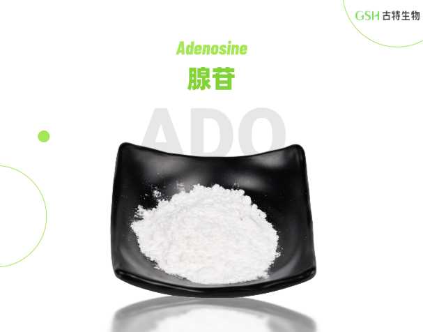 腺苷：藏在人体里的天然平衡调节分子