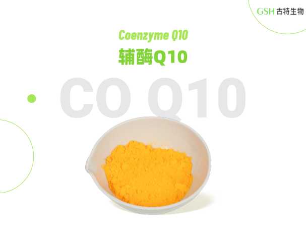 多元潜力营养原料：辅酶 Q10