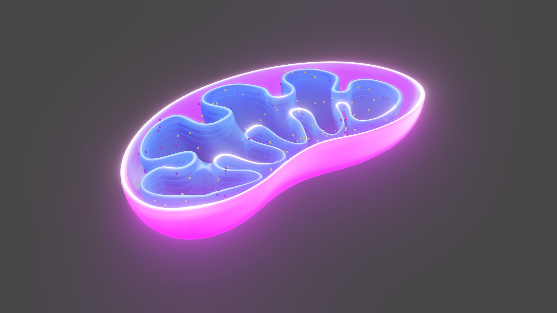 古特生物