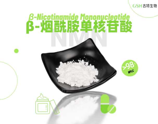 NMN的五大核心生理调节分子机制