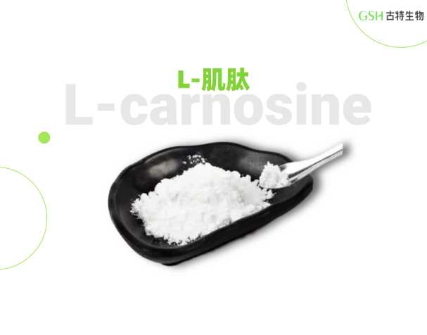肌肽——被科研关注的内源二肽