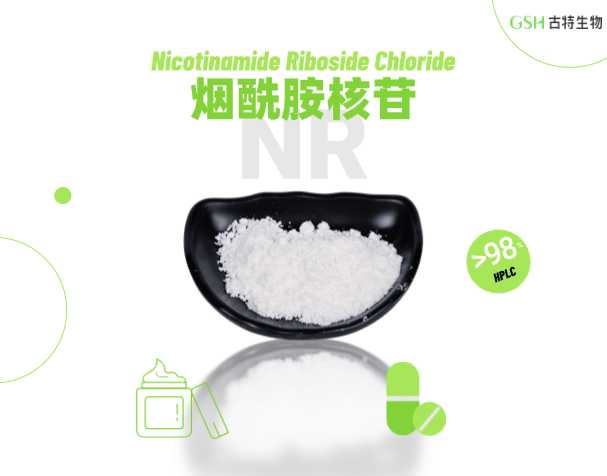 认识 NR：备受关注的 B 族维生素相关营养原料