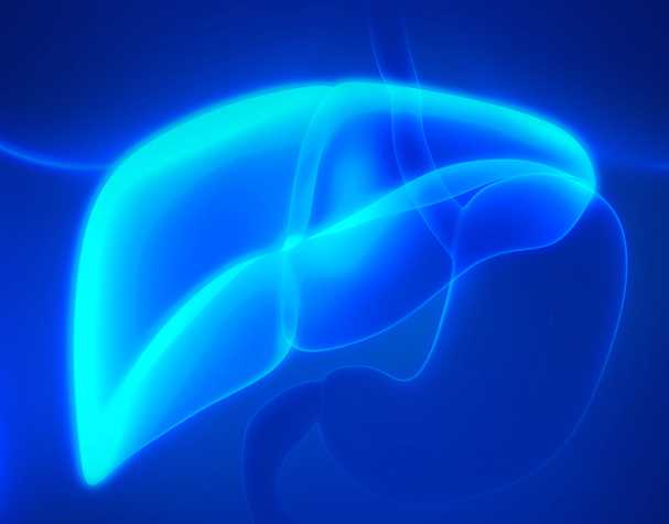古特生物 古特生物