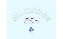 当你开始服用谷胱甘肽时，你的身体会发生什么变化？