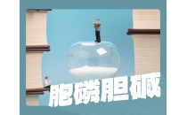 胞磷胆碱比胆碱更好吗？