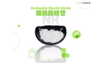 认识 NR：备受关注的 B 族维生素相关营养原料