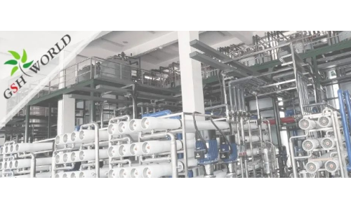 企业动态 - 安庆市区领导对古特生物的生产发展给予充分肯定