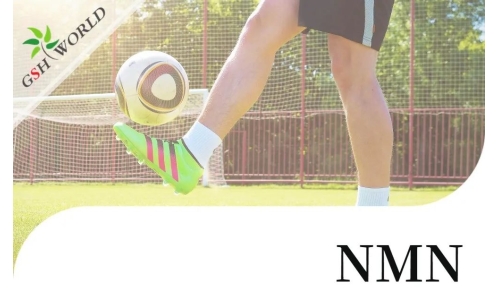 行业关注 - NMN对肌腱炎的抗氧化作用