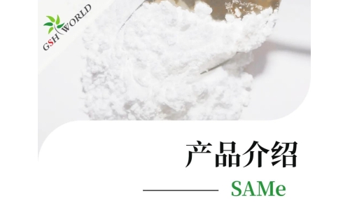 产品介绍 - SAMe——堪称全能的肝脏营养剂