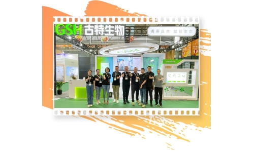 出海浪潮来袭，会成为中国生物药企的下一个转折点！