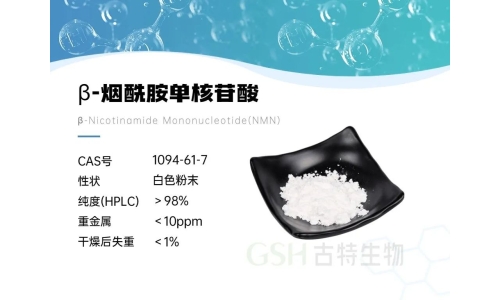 产品资讯 - 哈佛最新研究，NMN真的能减肥？