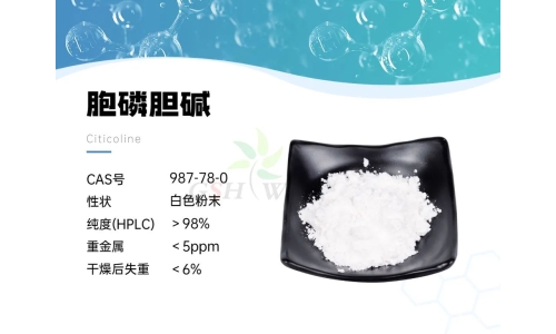 产品资讯 - 胞磷胆碱对老年人记忆力的影响