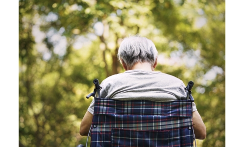 NMN对于老年人睡眠质量的影响