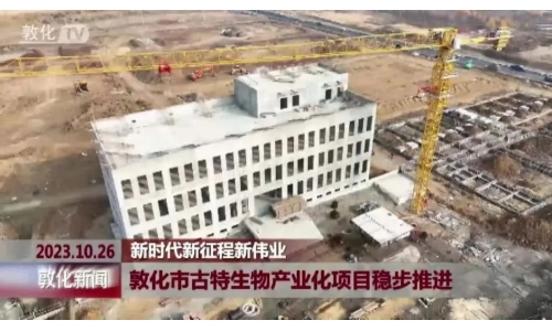 敦化市古特生物产业化项目稳步推进