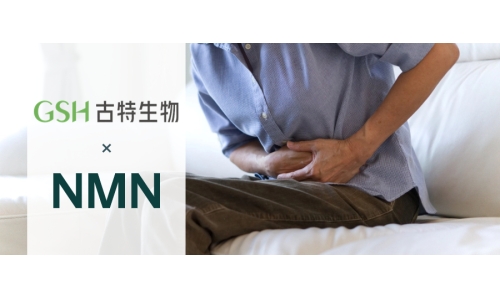 NMN维护肠道健康