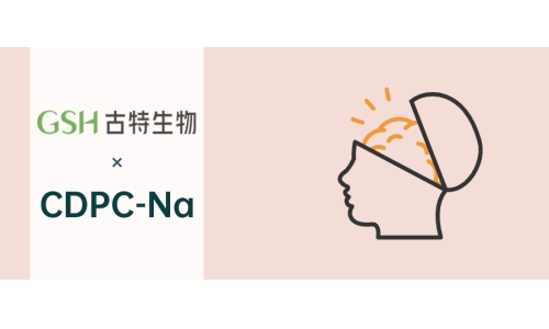 胞磷胆碱钠的神经保护作用与优势