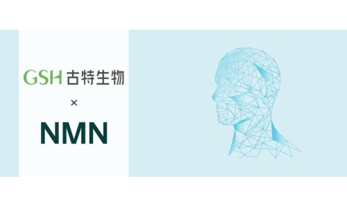 NMN维护神经健康