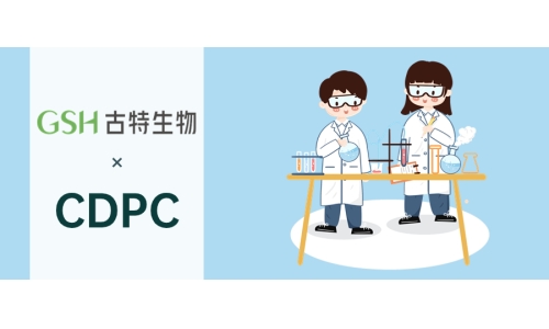胞磷胆碱的相关研究