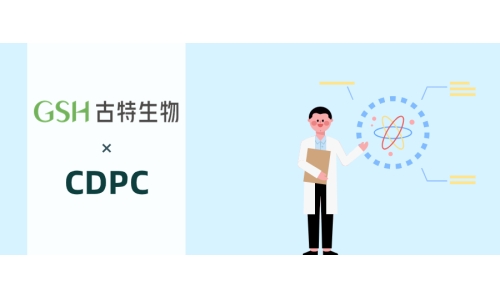 胆碱补充剂